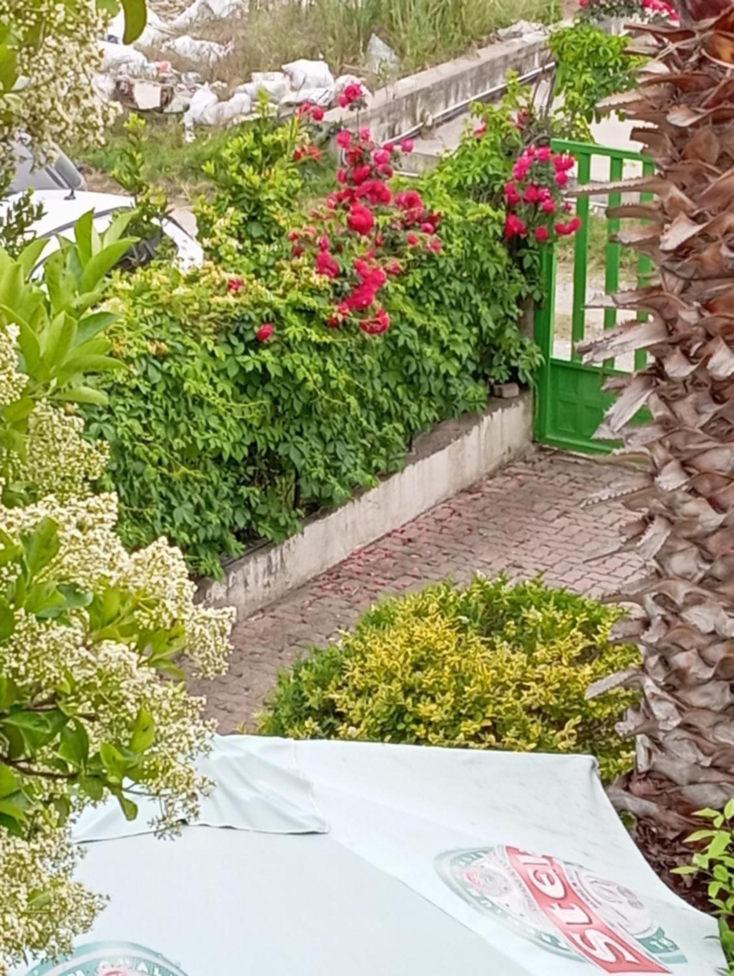 A-Vila Golem  Bagian luar foto